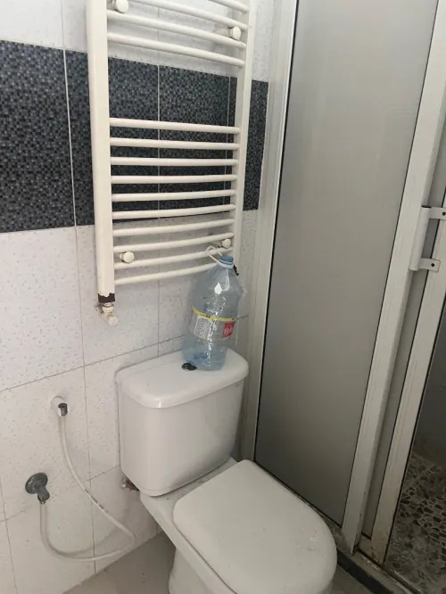 Location Appartement Niveau de villa Studio Alger Saoula