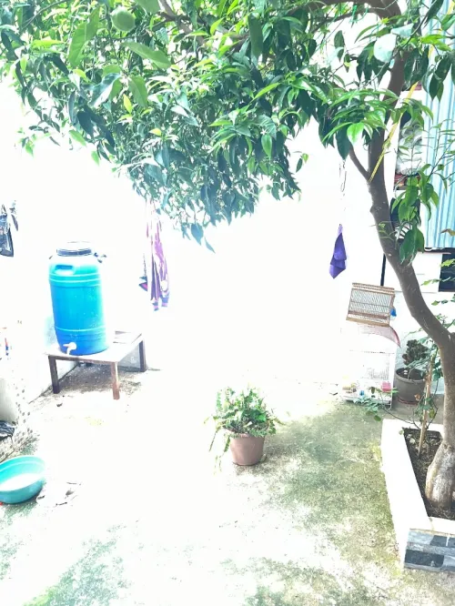 Vente Villa Alger Saoula