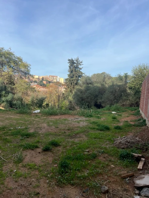 Vente Terrain Alger Birkhadem