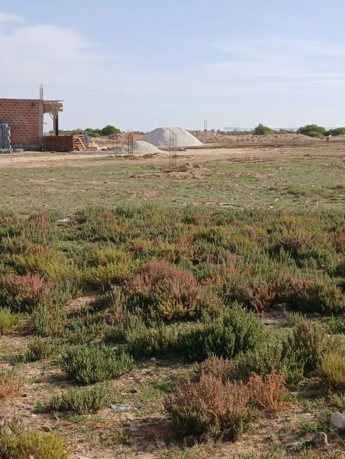 Vente Terrain Tébessa Oum ali