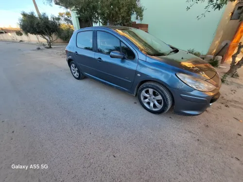 Peugeot 307 2007 307