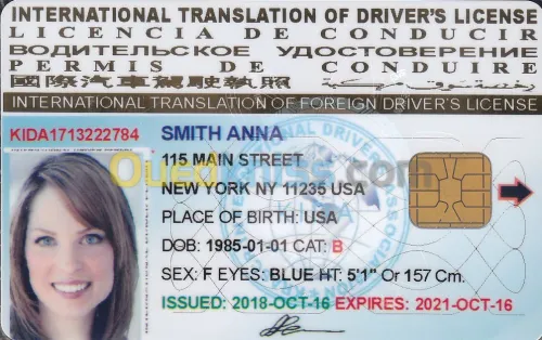 Permis international USA ( Avec puce )