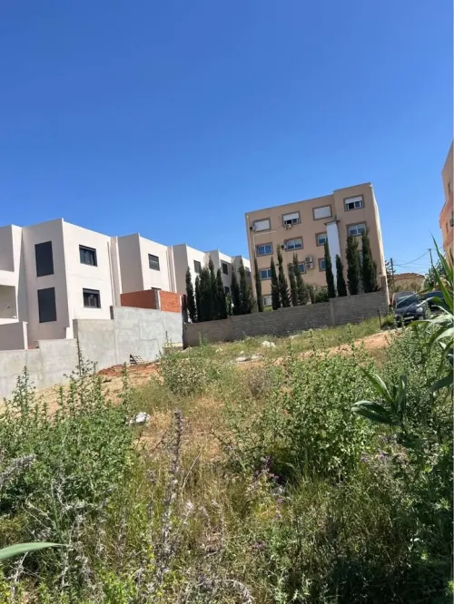 Vente Terrain Alger Ouled fayet