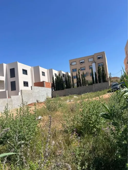 Vente Terrain Alger Ouled fayet