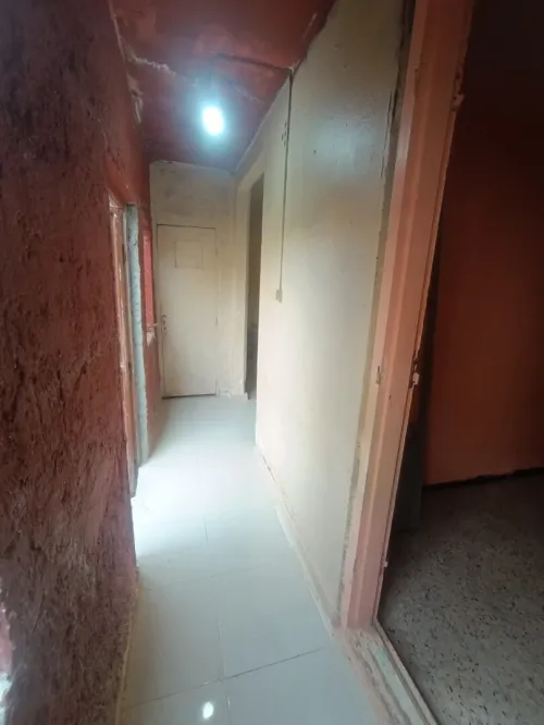 Location Appartement Studio Alger Reghaia