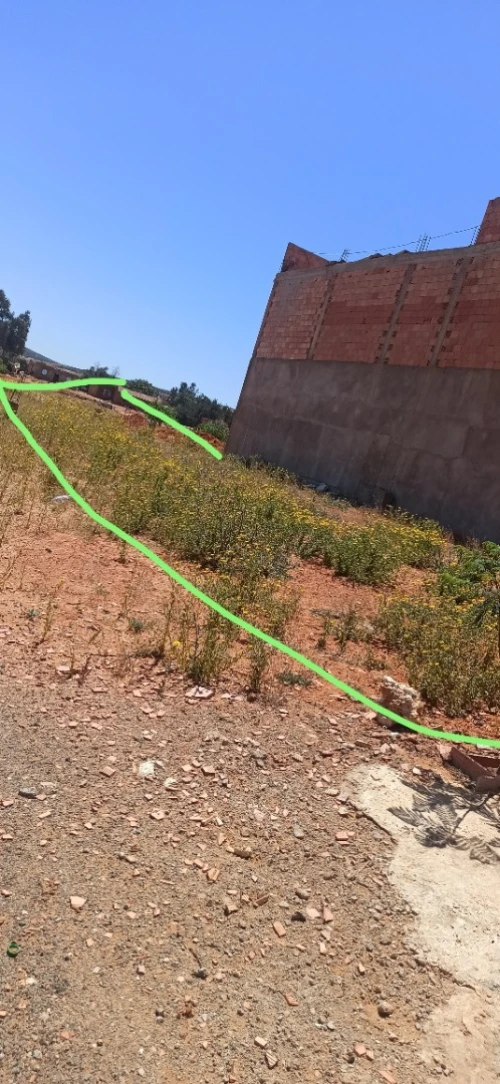 Vente Terrain Mostaganem Sidi lakhdaara
