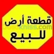 Vente Terrain Tipaza Hadjout