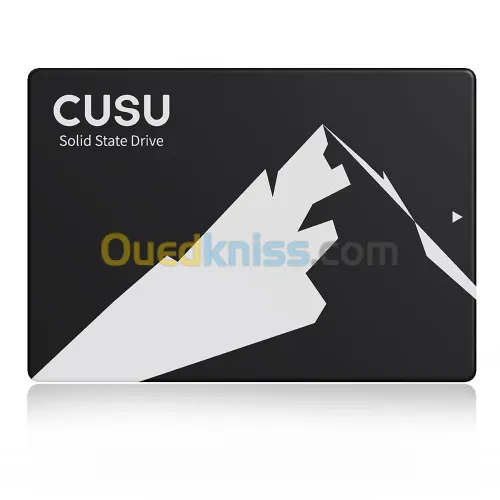 120 GB CUSU C300 SSD SATA