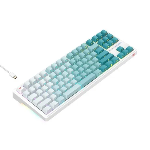 Gaming keyboard MECANIQUE HAVIT KB 901L RED SWITCH 75