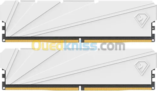 Netac Shadow 2 32GB (2x16GB) DDR4 3200MHz (PC4-25600) C16 1.35V LED Desktop Memory