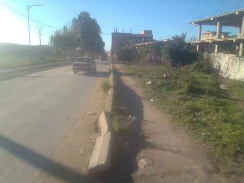 Vente Terrain Blida Bouinan