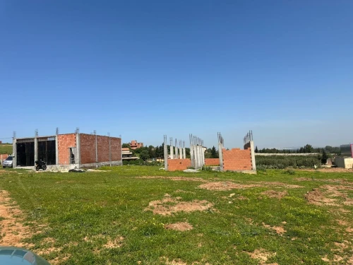 Vente Terrain Tipaza Attatba