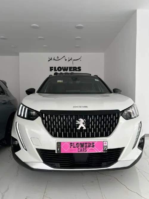 Peugeot 2008 2021 Gt