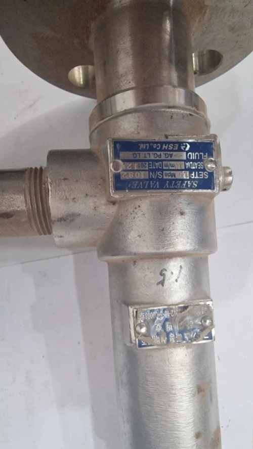 SOUPAPE A SECURITE A BRIDE INOX 3/4 304 