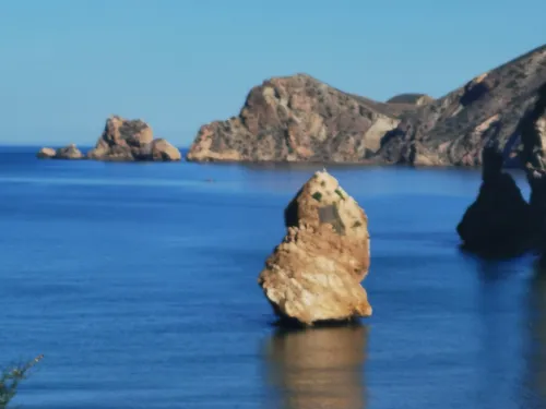 Vente Terrain Tlemcen Marsa ben mhidi