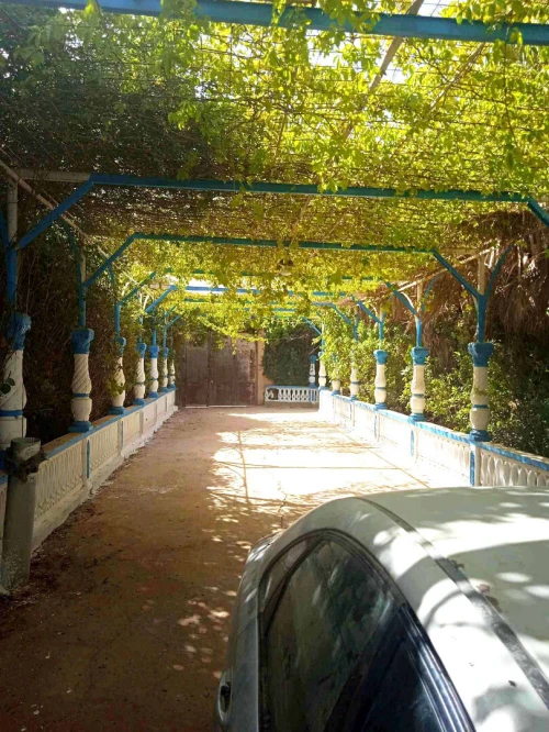 Vente Villa Laghouat Laghouat
