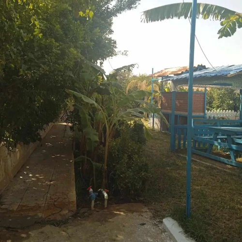 Vente Villa Laghouat Laghouat