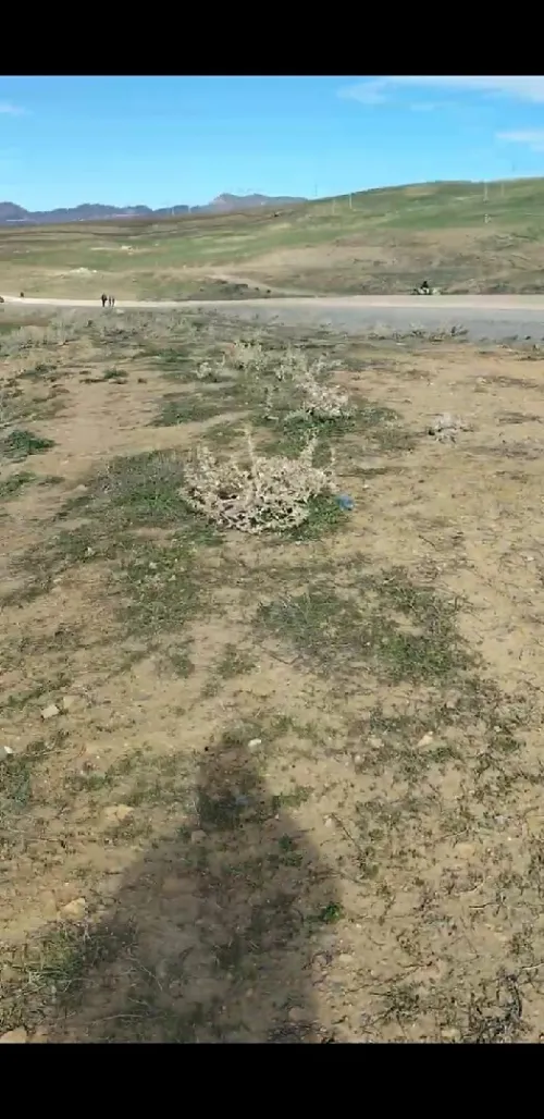 Vente Terrain Médéa Draa essamar