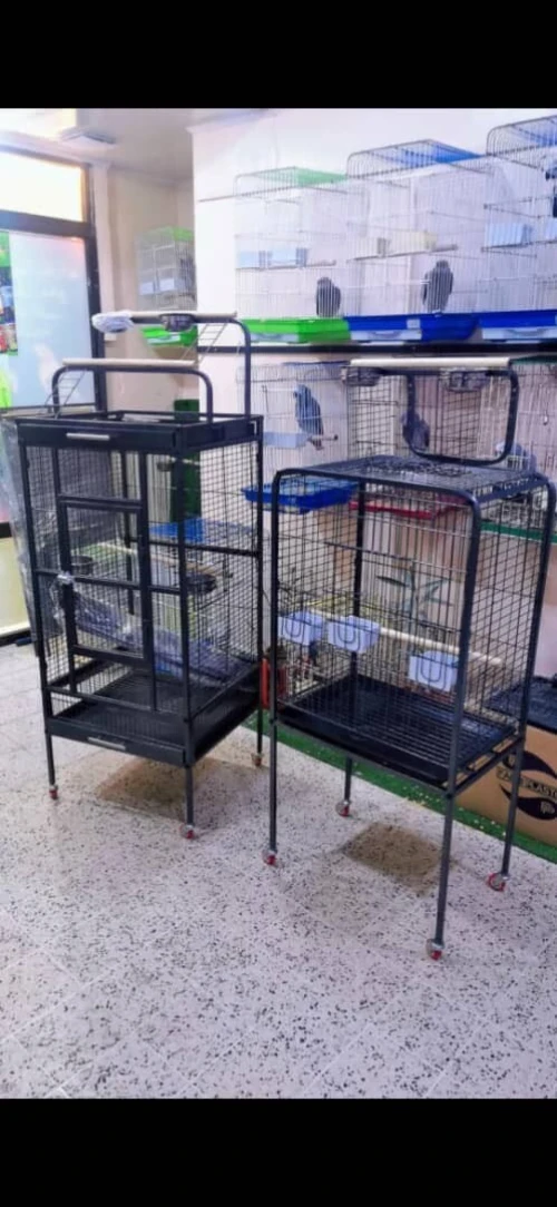 Cage pour perroquet