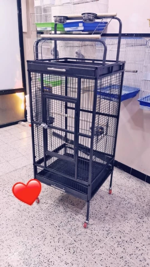Cage pour perroquet