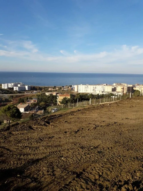 Vente Terrain Tipaza Cherchell