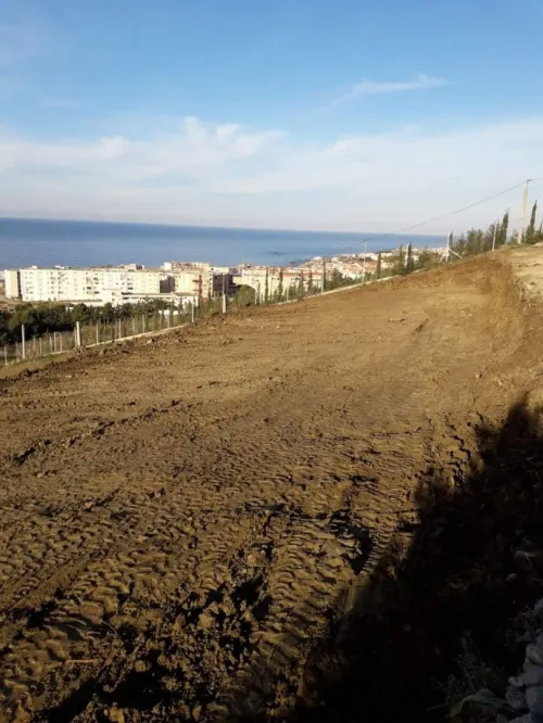 Vente Terrain Tipaza Cherchell