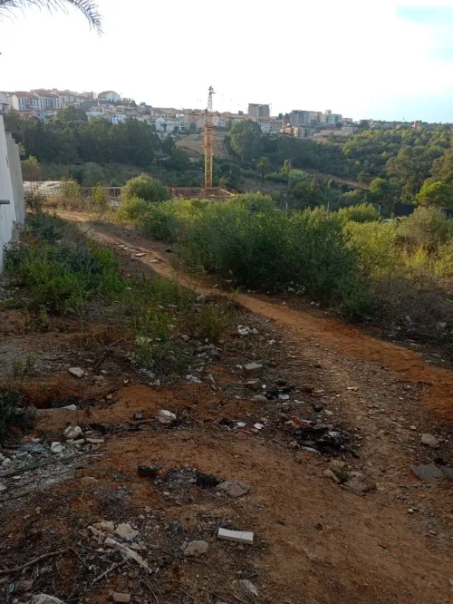 Vente Terrain Alger Draria