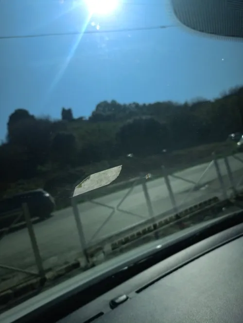 Vente Terrain Alger Draria