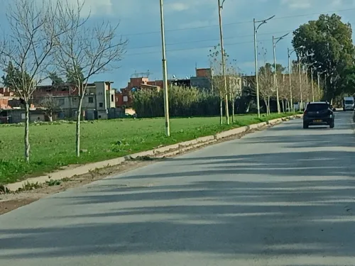 Vente Terrain Alger Draria 6