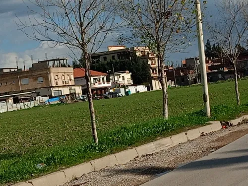 Vente Terrain Alger Tessala el merdja