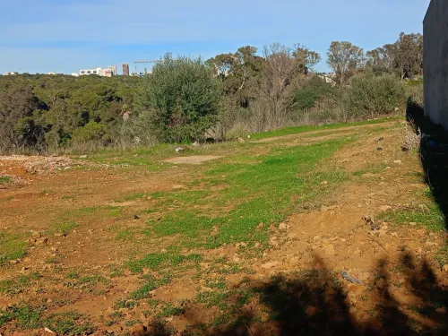 Vente Terrain Alger Draria