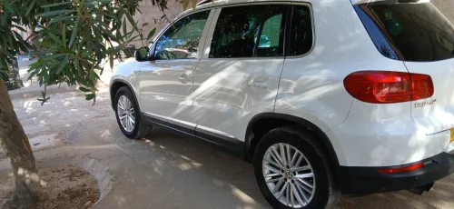 Volkswagen Tiguan 2014 Cup