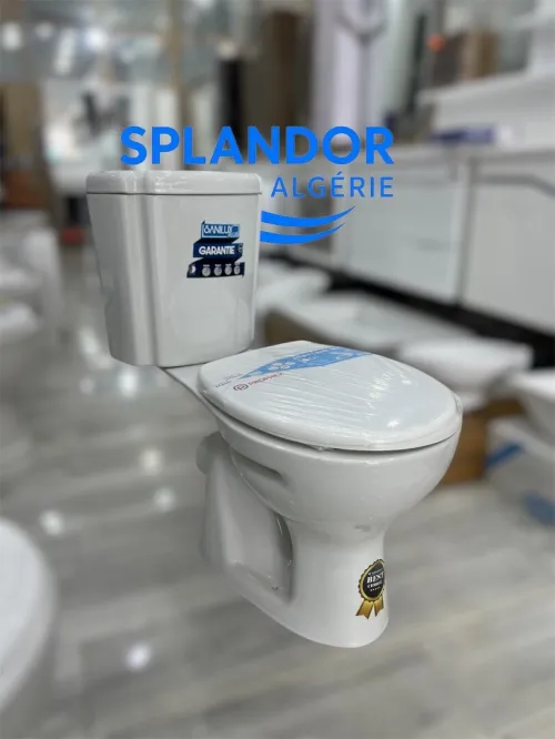 Cuvette de toilette