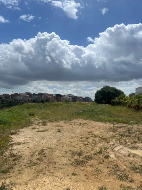 Location Terrain Alger Draria