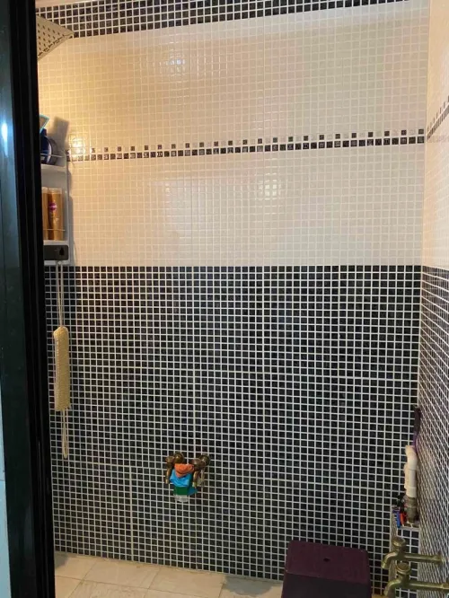 Vente Villa Sétif Setif