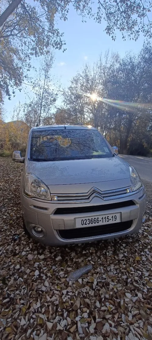 Citroen Berlingo 2015 Berlingo