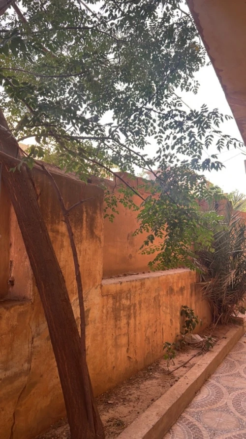 Vente Villa Tiaret Sougueur