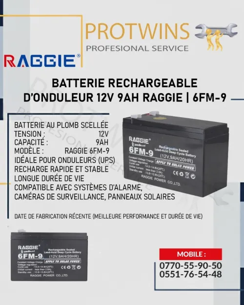BATTERIE D'ONDULEUR 12V 9AH RAGGIE 6FM-9