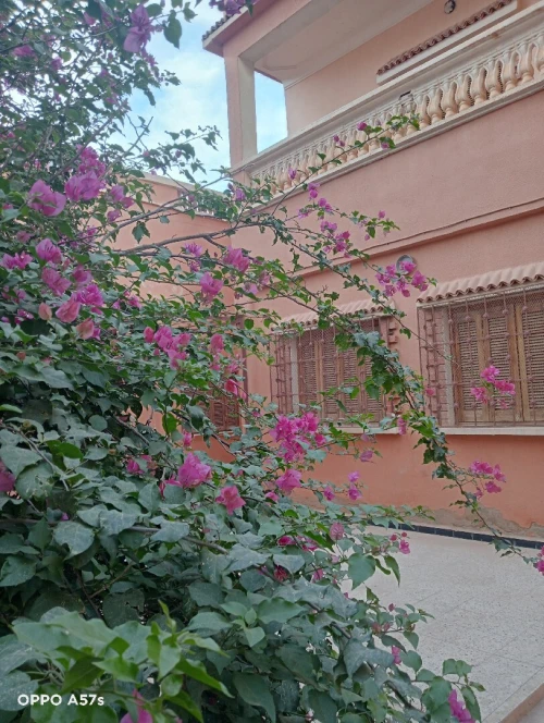 Location Villa Béchar Bechar