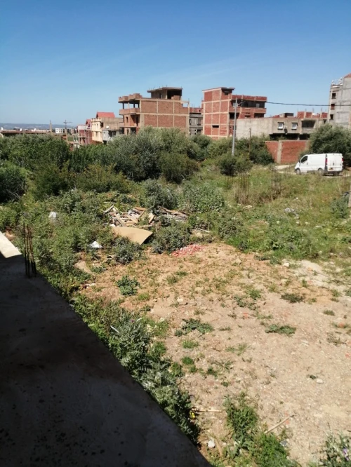 Vente Terrain Blida Bouarfa