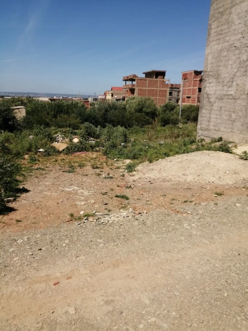 Vente Terrain Blida Bouarfa
