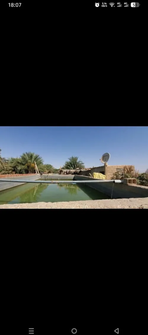 Vente Terrain Agricole Biskra Sidi okba