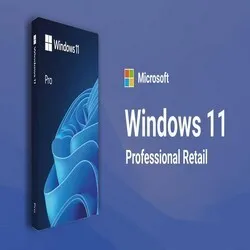 windows 11 professional retail