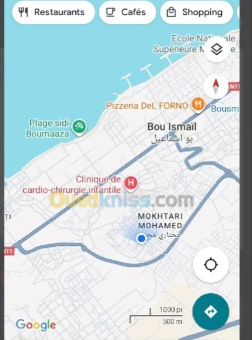 Vente Terrain Appartement Tipaza Bou ismail