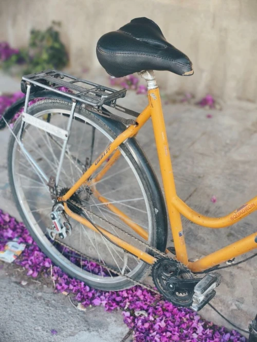 velo geant classique