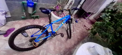 Vélo bitwin