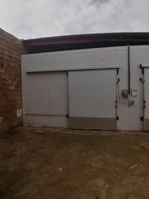 Location Hangar - Usine Mostaganem Ain sidi cherif