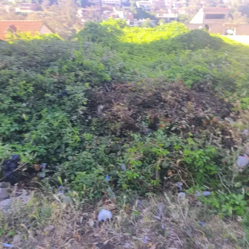 Vente Terrain Alger Draria