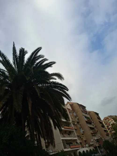Location Appartement F2 Alger Ben aknoun