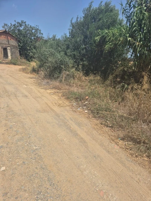 Vente Terrain Alger Zeralda
